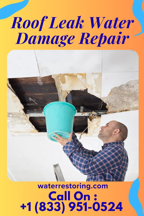 Roof Leak Water Damage Repair in Kicking Horse, MT